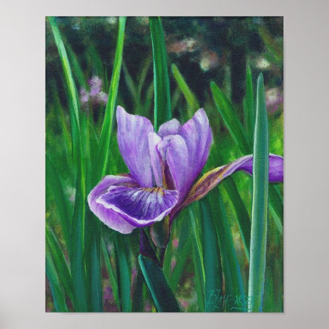Wild Iris Poster (Front)