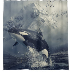 Wild Killer Whale Jumping
