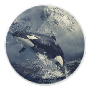 Wild Killer Whale Jumping Ceramic Knob