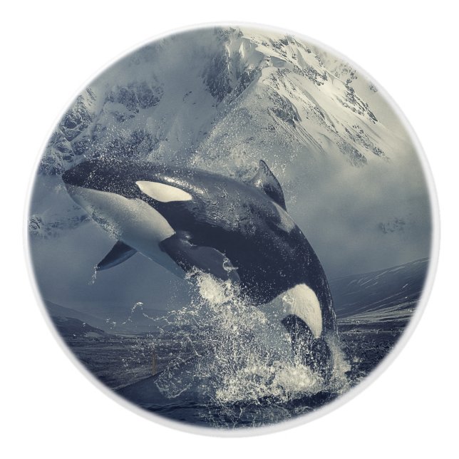 Wild Killer Whale Jumping Ceramic Knob (Front)