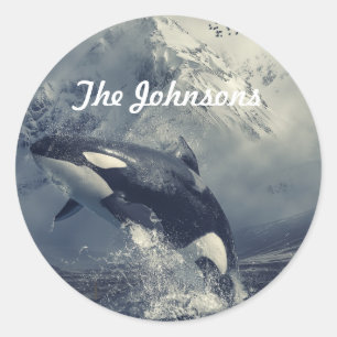 Wild Killer Whale Jumping Classic Round Sticker