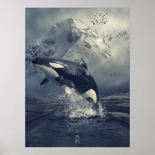 Wild Killer Whale Jumping Poster (Front)