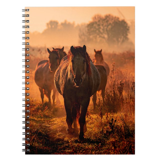 wild konik horses wich came running straight towar notebook (Front)