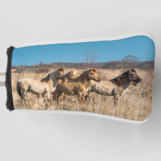 Wild Konik ponies Wicken Fen Cambridgeshire UK Golf Head Cover