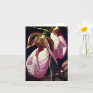 Wild Lady Slipper Orchids Flower Personalized Note Card