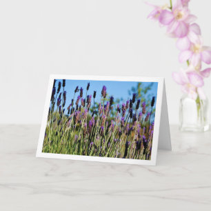 Wild Lavender Blue Sky Portrait Card