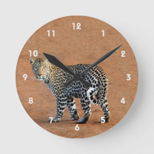 Wild Leopard in Africa Round Clock