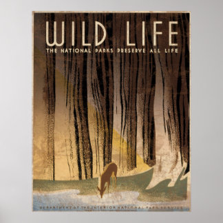 Wild Life National Parks Preserve All Life Poster