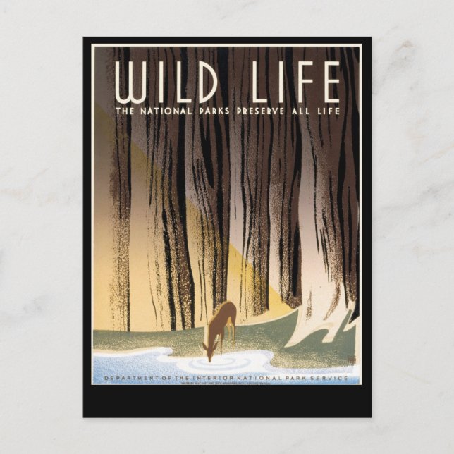 Wild Life Postcard (Front)
