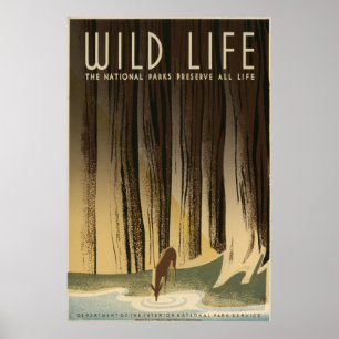 Wild Life Poster