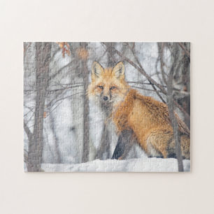 Wild Life Red Fox Hunting In Snowy Forest Winter Jigsaw Puzzle