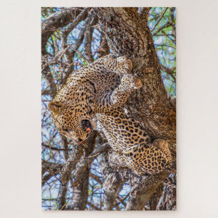 Wild Life Safari Leopard Sitting In A Tree 1014pcs Jigsaw Puzzle
