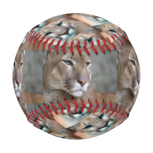 wild lion cats paw prints player team sports baseball