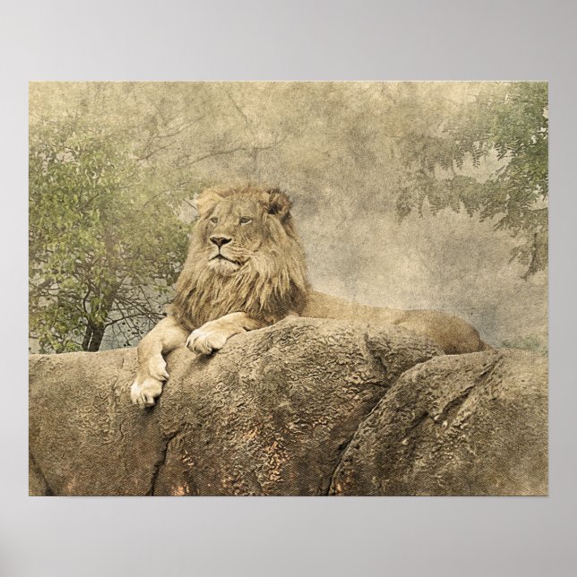 Wild Lion Safari Jungle Artwork Photo Poster (Front)