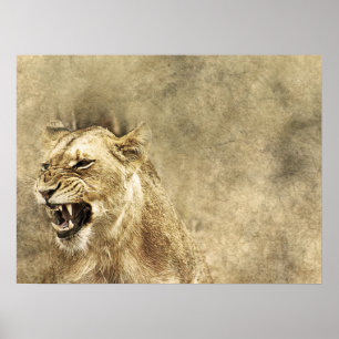 Wild Lion Safari Jungle Oeuvre photo Poster