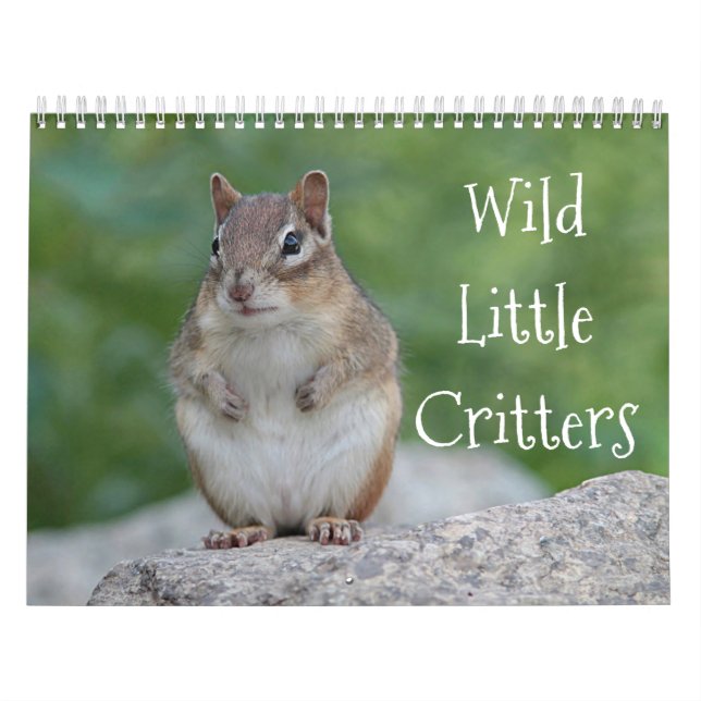 Wild little critters calendar (Cover)