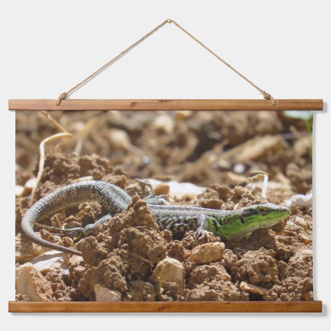 Wild Lizard Nature Photography Rustic  Hanging Tapestry (Front)