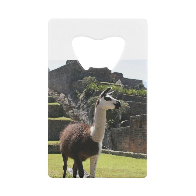 Wild Llama Near Ruins (Devant)