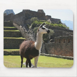 Wild Llama Near Ruins Mouse Pad