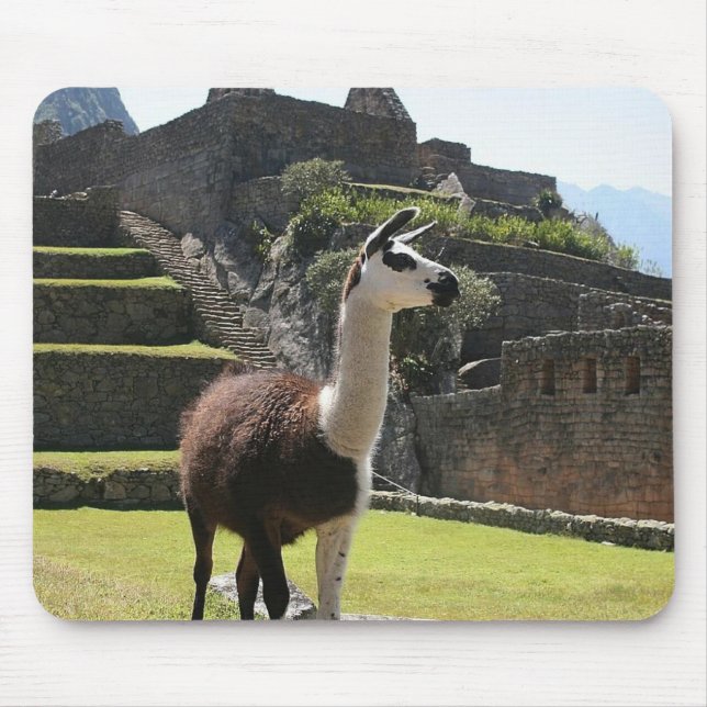 Wild Llama Near Ruins Mouse Pad (Front)