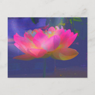 Wild Lotus Announcement Postcard