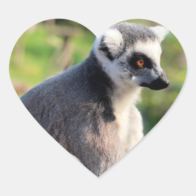 Wild Love: For Australia Heart Sticker (Front)