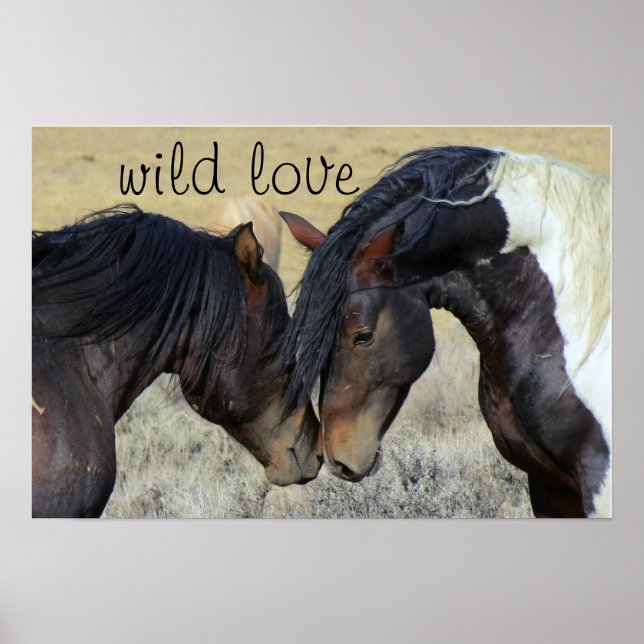 WILD LOVE HORSES POSTER (Front)