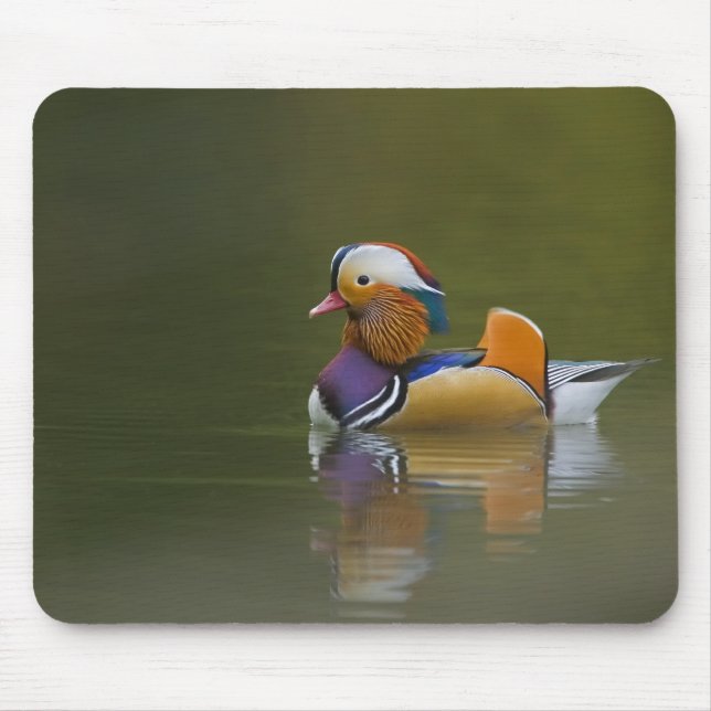 Wild Mandarin Duck Aix galericulata) on dark Mouse Pad (Front)