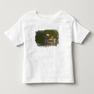 Wild Mandarin Duck Aix galericulata) on dark Toddler T-shirt