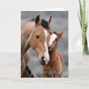 Wild Mare and Foal Photo Thank You Card