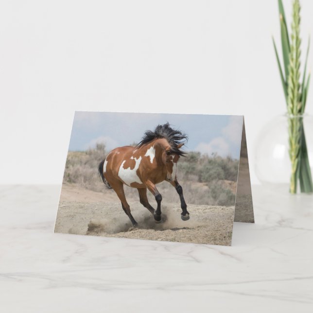 Wild Mare exécute une carte de voeux (Devant)