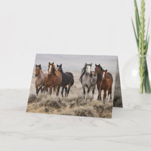 "Wild Mares and Foal on the Move" Invitation