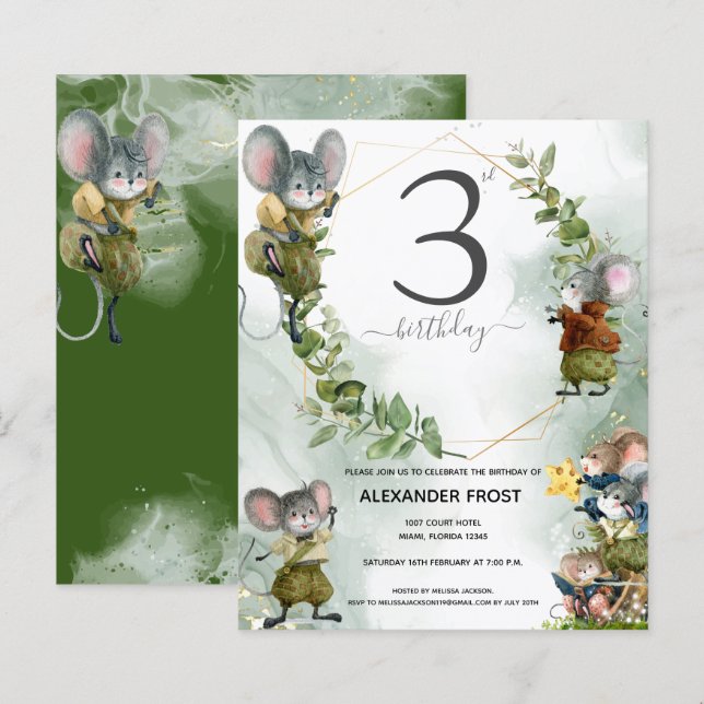 Wild Mice 3rd Birthday Party Invitation  (Front/Back)