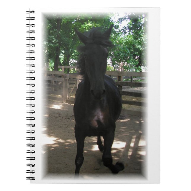 "Wild Mintaka !" Carnet (Devant)