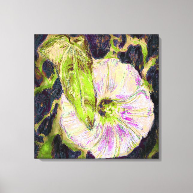 Wild Morning Glory by Alexandra Cook Canvas Print (Front)