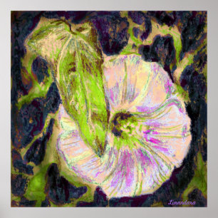 Wild Morning Glory by Alexandra Cook Poster