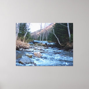 Wild Mountain River - Wild Nature Romania Canvas Print