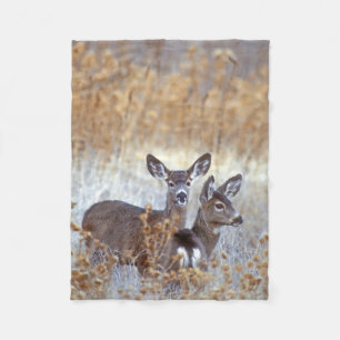 Wild Mule Deer Pair   California Fleece Blanket