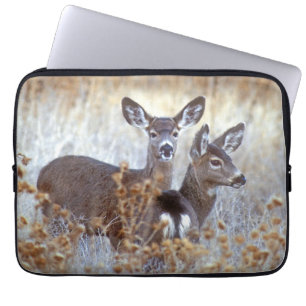 Wild Mule Deer Pair California Laptop Sleeve