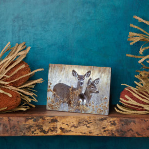 Wild Mule Deer Pair   California Plaque