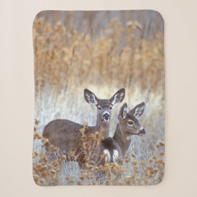 Wild Mule Deer Pair | California Sherpa Blanket (Front)