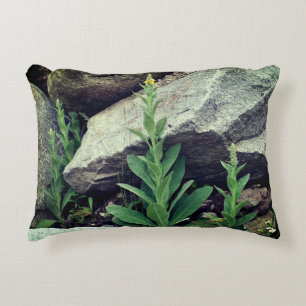 Wild Mullein Flowers Among Rocks Accent Pillow