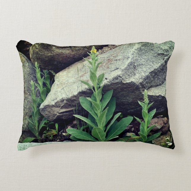 Wild Mullein Flowers Among Rocks   Accent Pillow (Front)