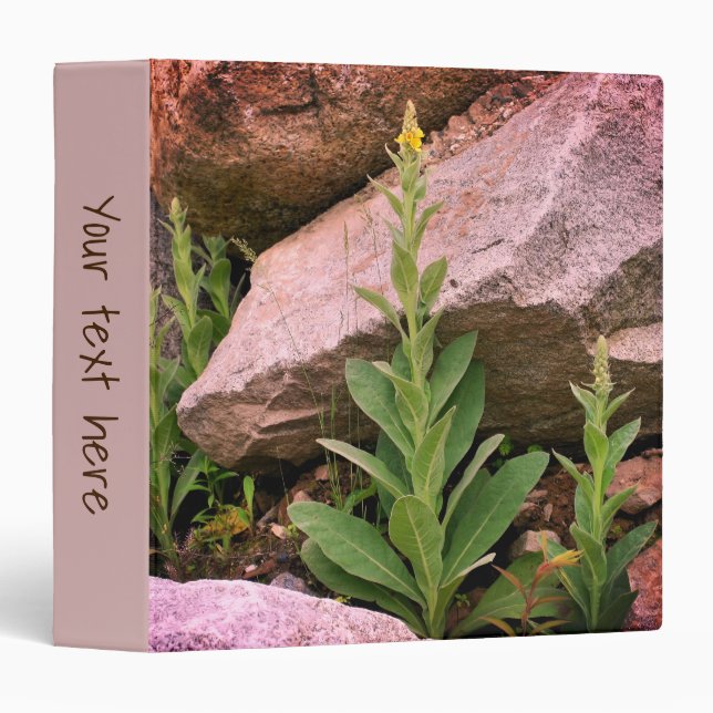 Wild Mullein Flowers Among Rocks Personalized Binder (Front/Spine)