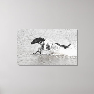 Wild Mundoo Jet Ski Canvas Print