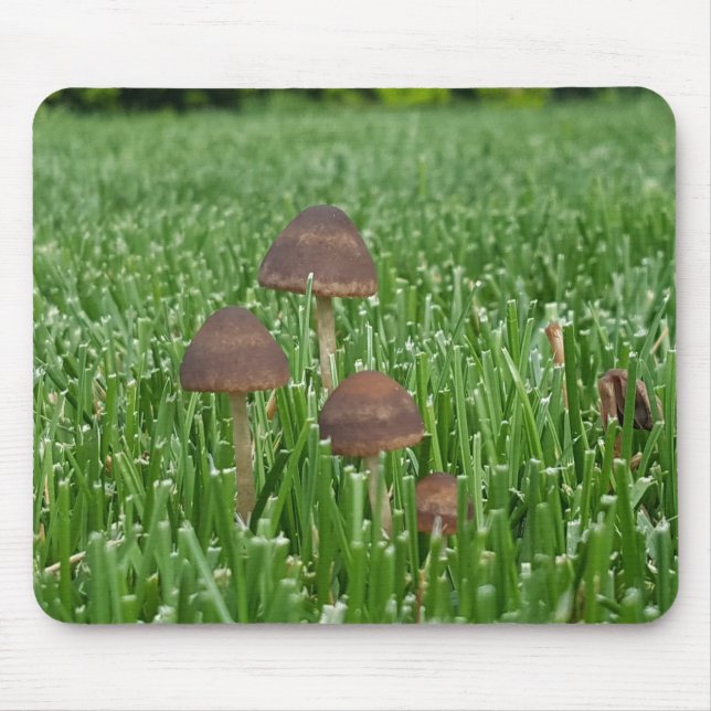 Wild Mushroom and grass Mousepad (Front)