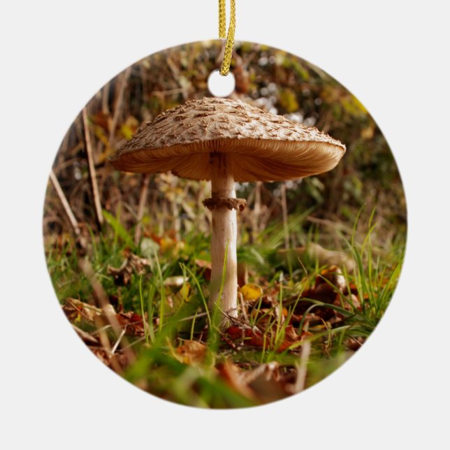 Wild mushroom ceramic ornament (Front)