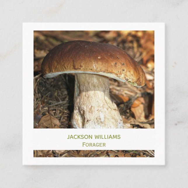Wild Mushroom Wild Food Forager| Photo Square Business Card (Front)