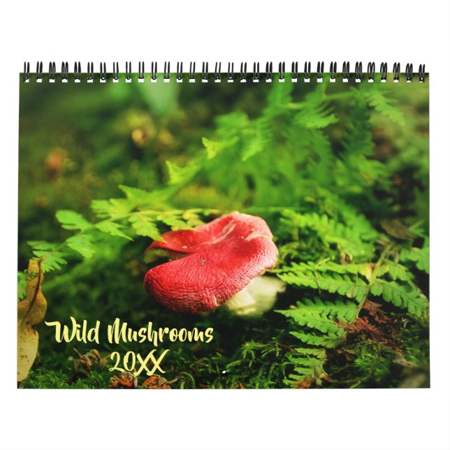 Wild Mushrooms and Nature Photography Calendar (Cover)
