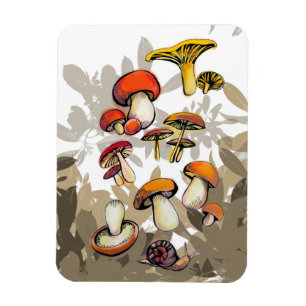 wild mushrooms magnet